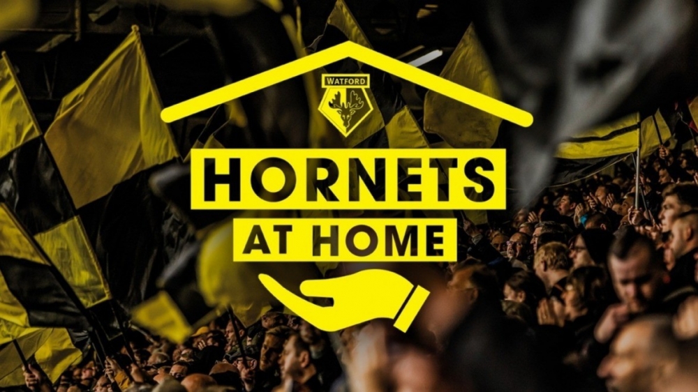 Hornets At Home