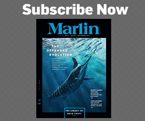 Subscribe to Marlin