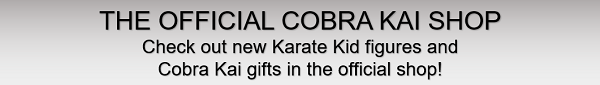 The Official Cobra Kai Shop