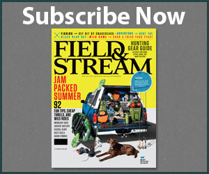Subscribe to Field & Stream