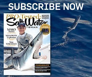 Subscribe to Salt Water Sportsman