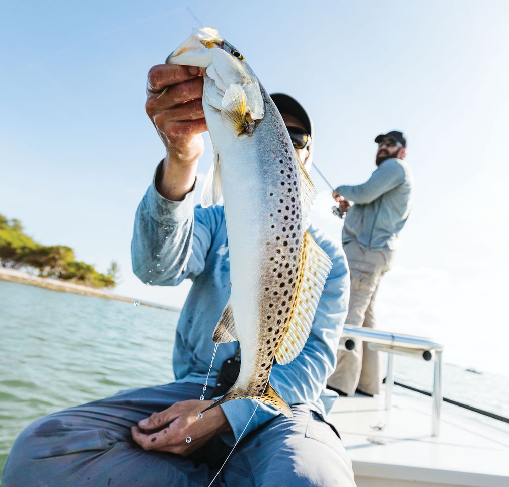 Finding Trout and Redfish