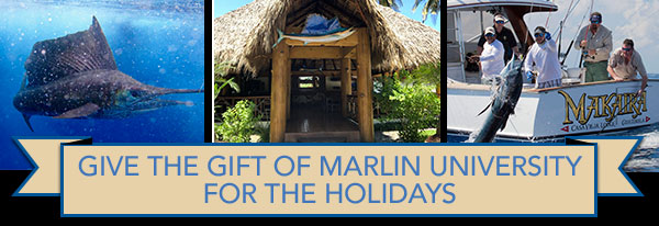 Give the gift of Marlin University for the holidays