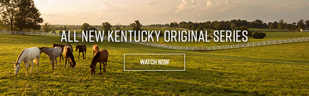 All new Kentucky original series