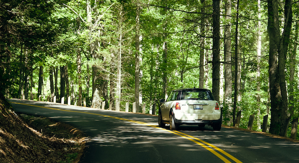 50 Spring Road Trips for the Whole Family