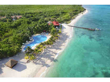 Pro Dive International: Stay-and-Dive Package for Two at Occidental Cozumel