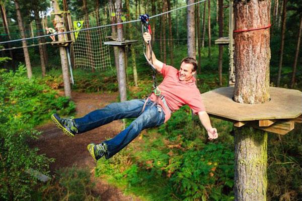 Go Ape at Grizedale Forest