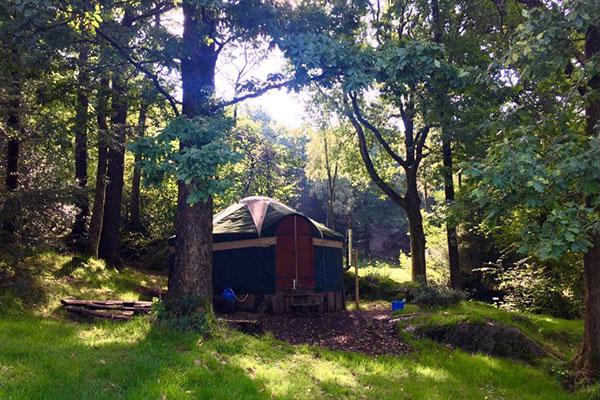 Win a 2-night adventure break at Forestry England''s Grizedale Forest