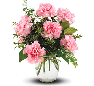 15% off carnations