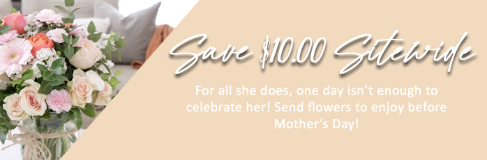 Save $10 NOW!