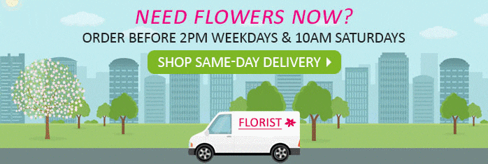 Need Flowers Now? Order Before 2PM Weekdays & 10AM Saturdays. Shop Same-Day Delivery!