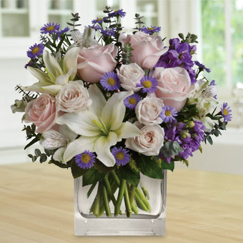 Save $15 OFF Our Watercolour Wishes Arrangement