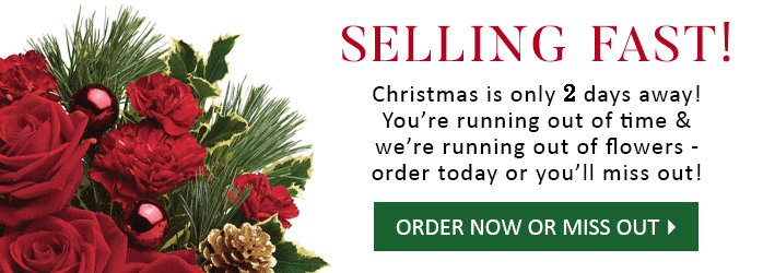 Selling Fast! Christmas is only 2 days away! You're running out of time and we're running out of flowers - order today or you'll miss out! Order Now Or Miss Out!