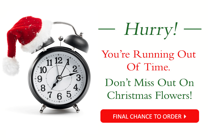 The Hourglass Runs Low... $15 OFF Ends 5PM* Today! Time & Flowers Are Running Out. Don't Be Left Giftless, Order Now!
