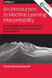 An Introduction to Machine Learning Interpretability