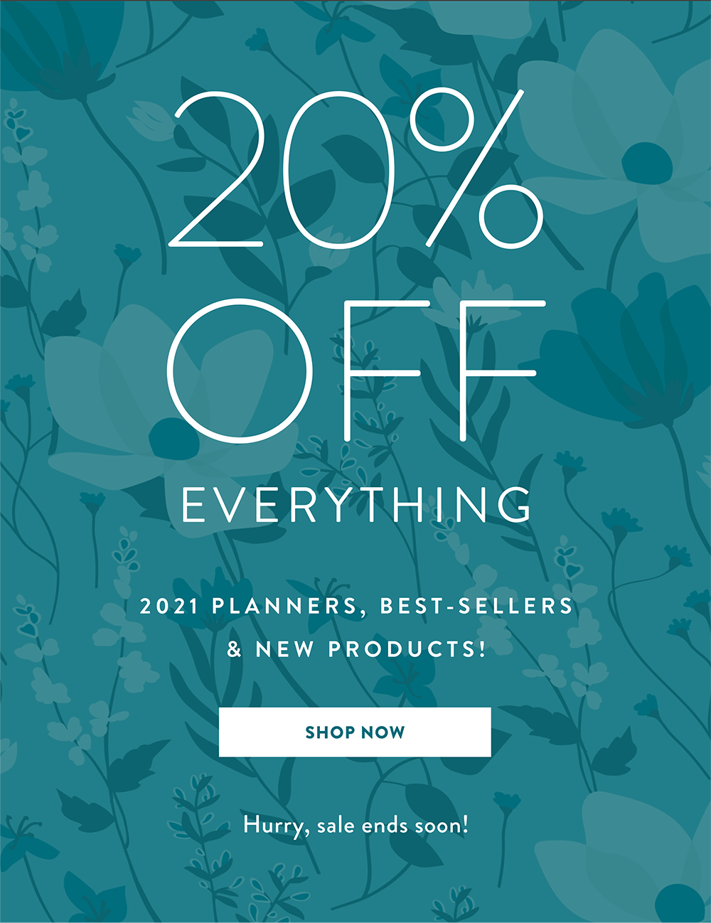 20% OFF EVERYTHING >