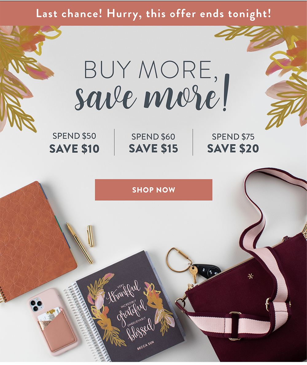 Last Chance: Buy More, Save More Sale! >
