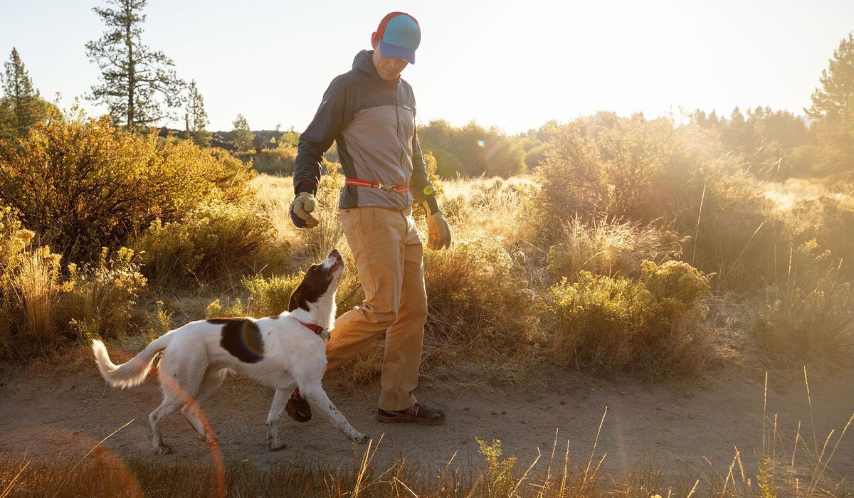 Ruffwear's Go Guide: Learn how to holiday your dog's way