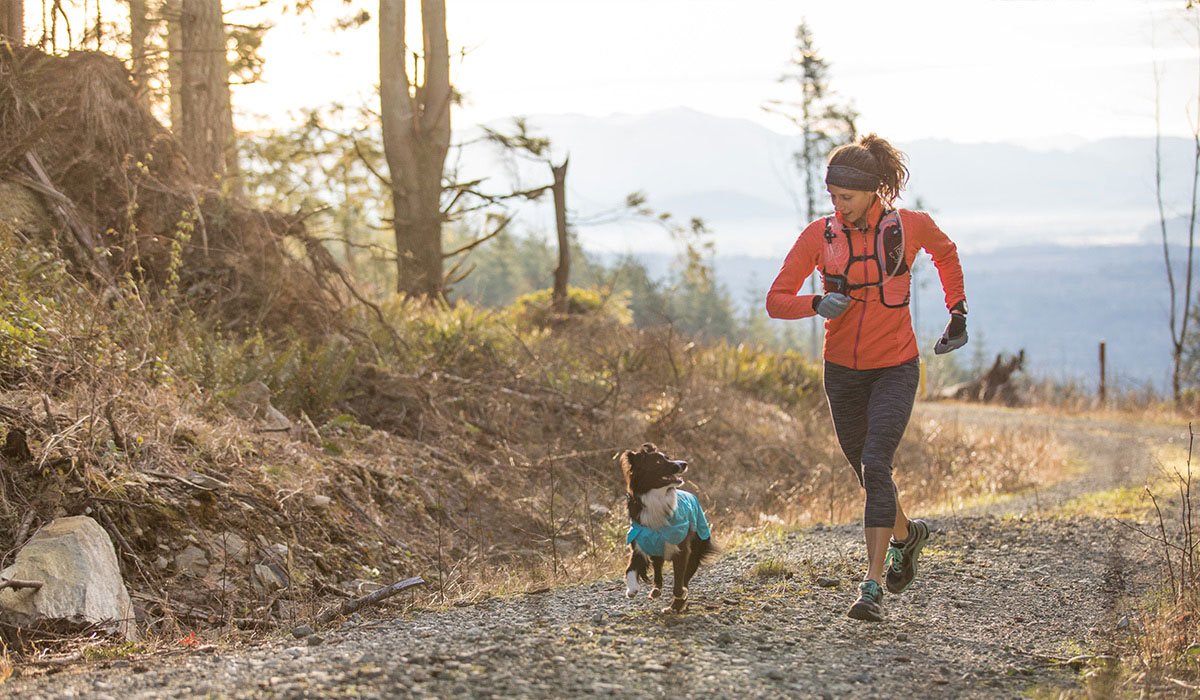 Read "Vanlife: Winter Running Tips for Humans and Dogs"