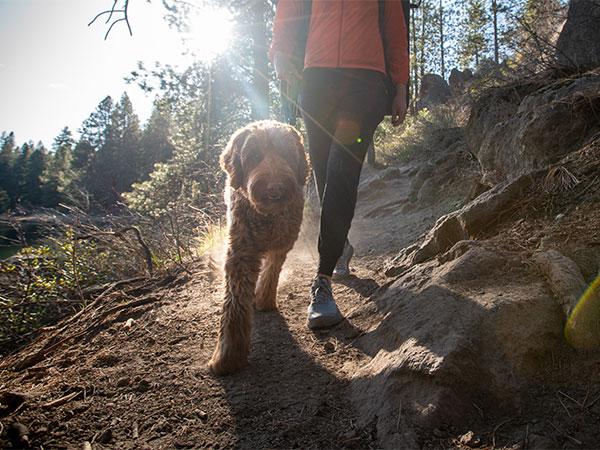 Read: Six Tips for Crag Dogs (And Their Humans)