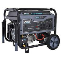 Click here for more details on Pulsar 12000 Watt Portable...