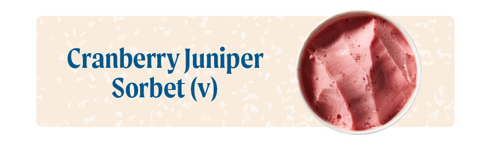 THANKSGIVING ice cream Cranberry Juniper Sorbet VEGAN