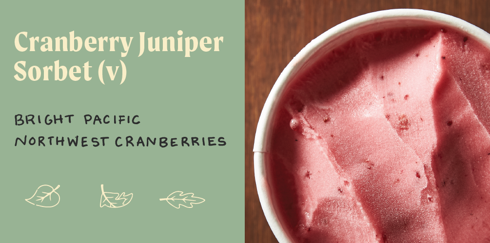 Cranberry Juniper Sorbet Vegan Thanksgiving