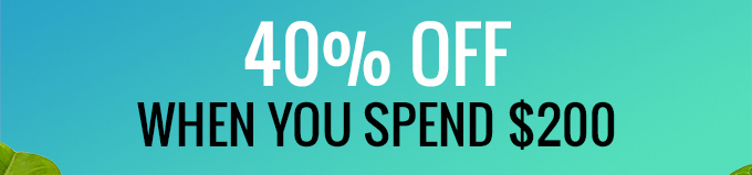 40% Off When You Spend $200