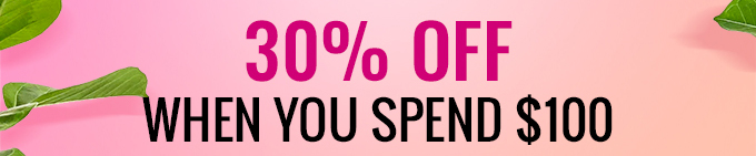 30% Off When You Spend $100