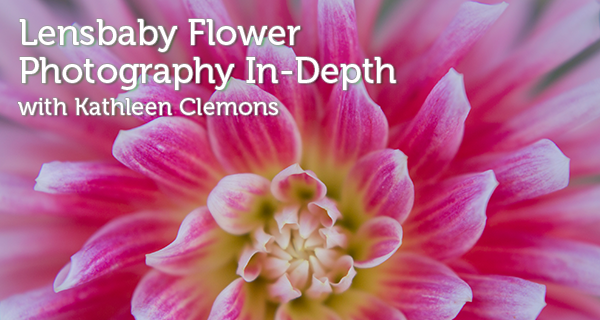 Lensbaby Flower Photography In-Depth with Kathleen Clemons