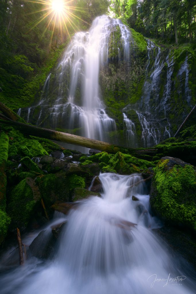 lush waterfall