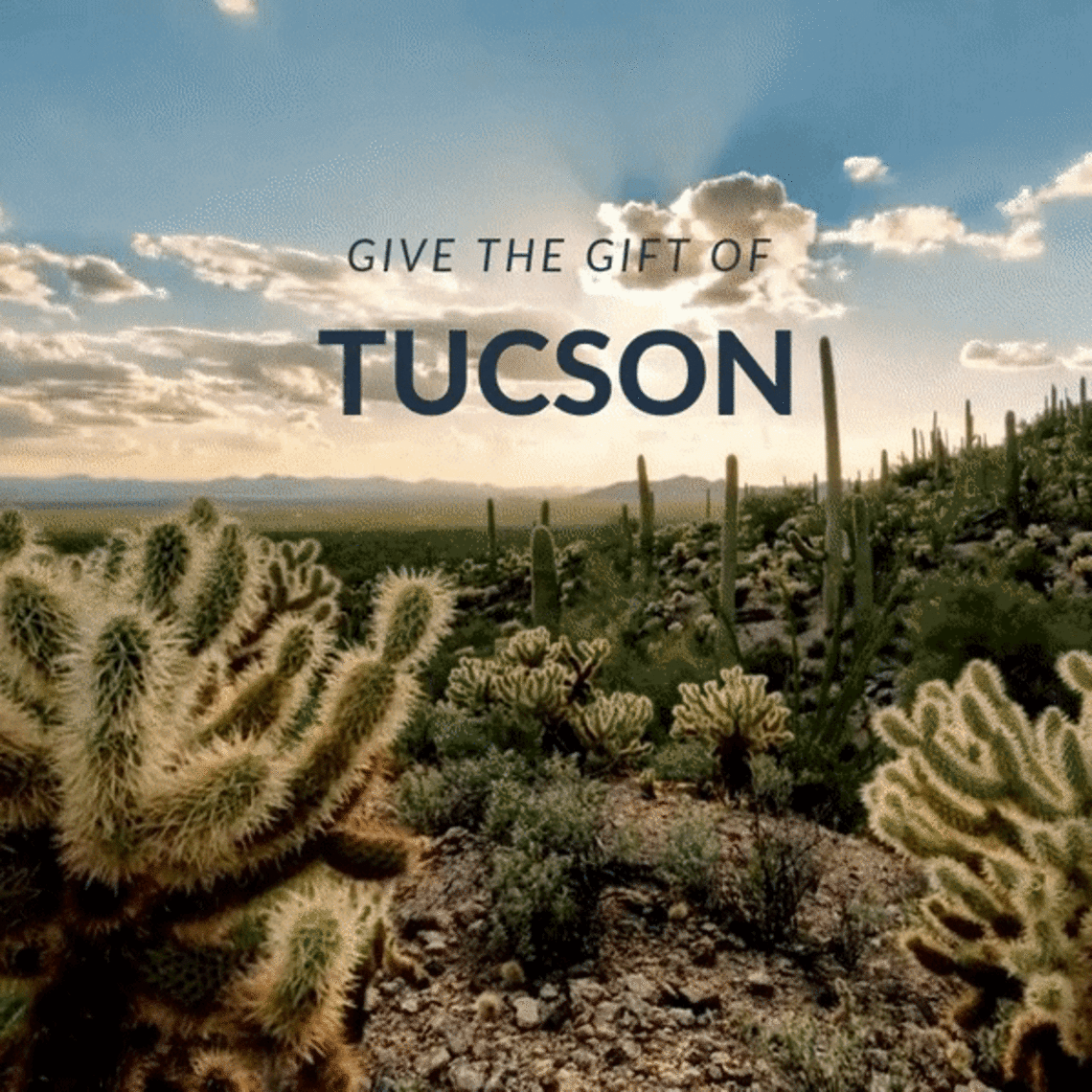 Give the gift of Tucson. Video of soaring over a desert.