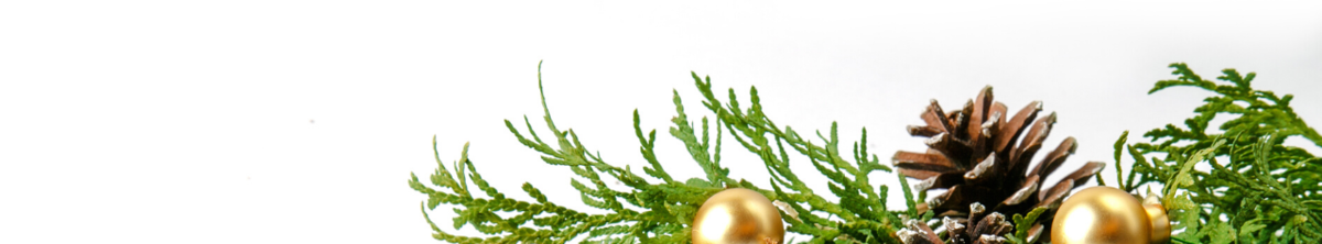 Pine branches with gold ornaments and pine cones. 