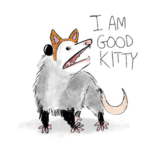 I Am Good Kitty