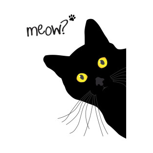 Meow Black Cat