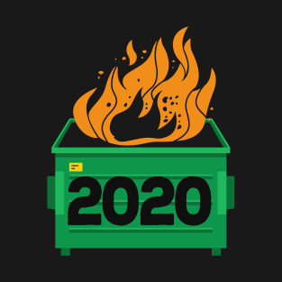 2020 Dumpster Fire - Everything Sucks
