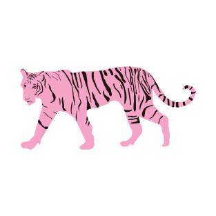 pink tiger