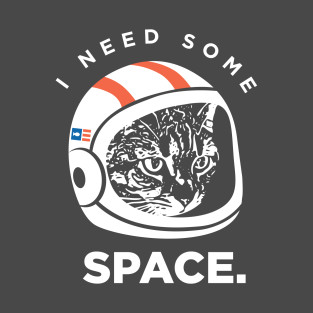 i need some space cat