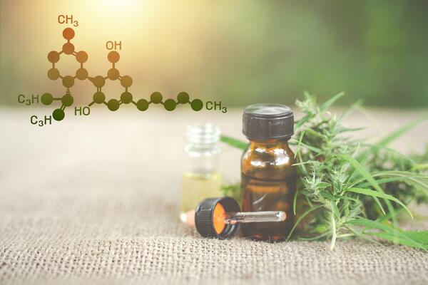 CBD Hemp Oil Leaves_shutterstock-1