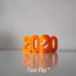 Text Flip - 2020 Poo