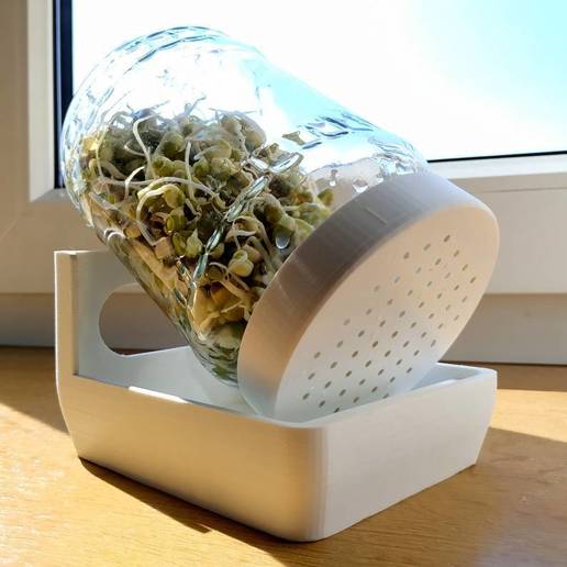 Plant germination bowl by 3Dev