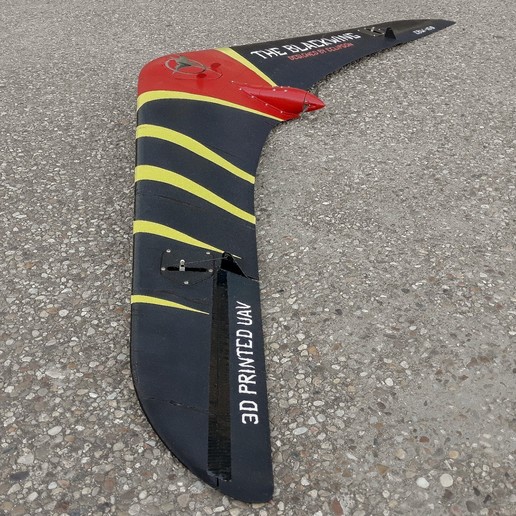 RC Flying Wing by Eclipson