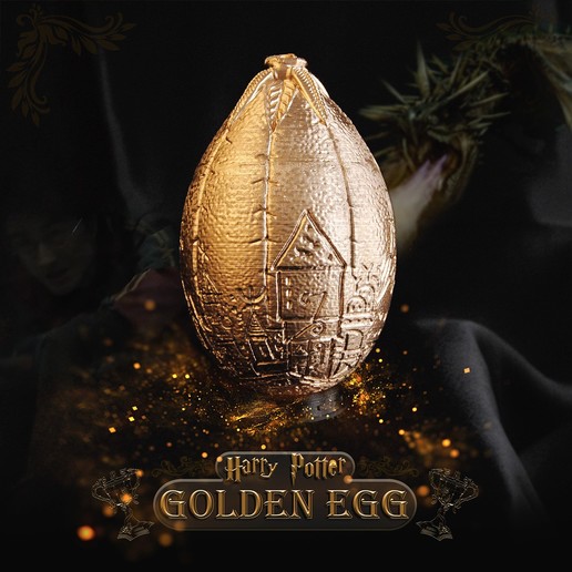 Dragon Golden Egg Harry Potter by Tolgaaxu