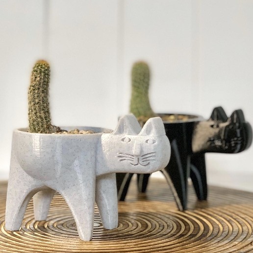 Cat Planter for Cactus by Ivankahl3D