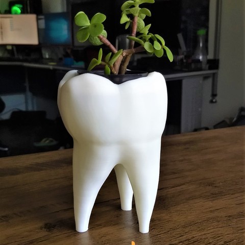 Tooth Vase by Hapens