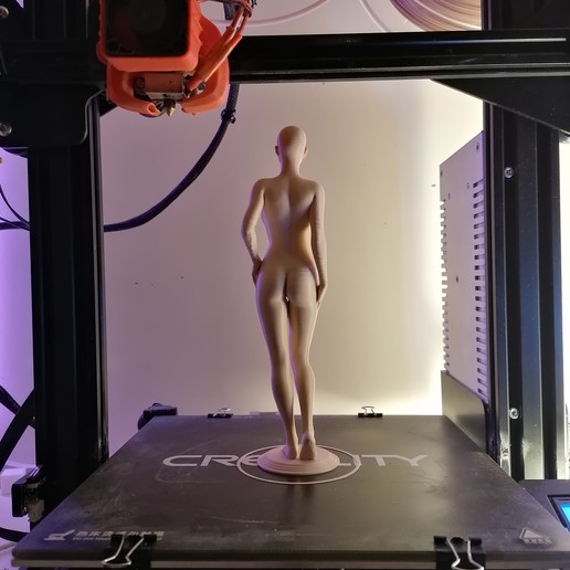 ALICE - Standing Woman Pose by extreme3dprint