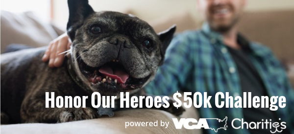 Honor Our Heroes $50k Challenge-email .png