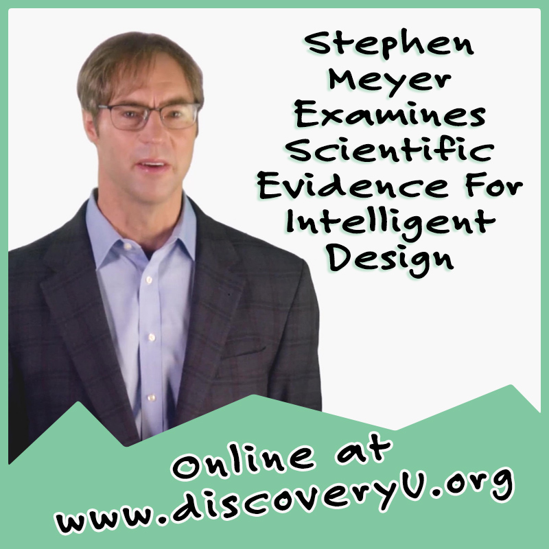 Stephen Meyer Course Image