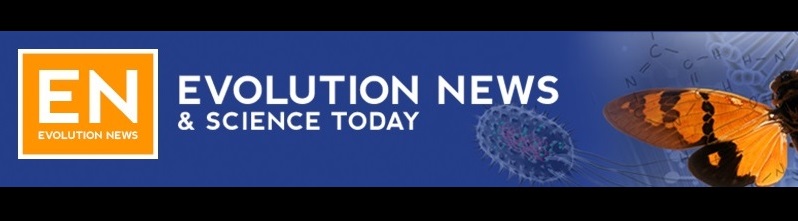 Evolution News Header Image