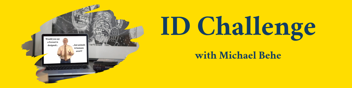 ID Challenge Header Image